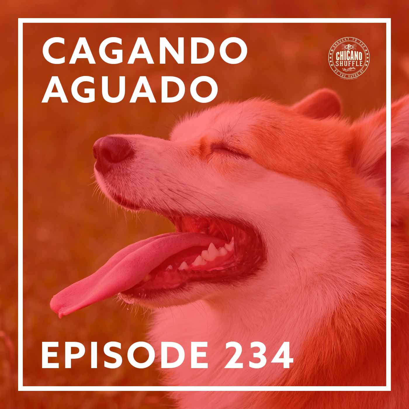 Episode 234 – Cagando Aguado
