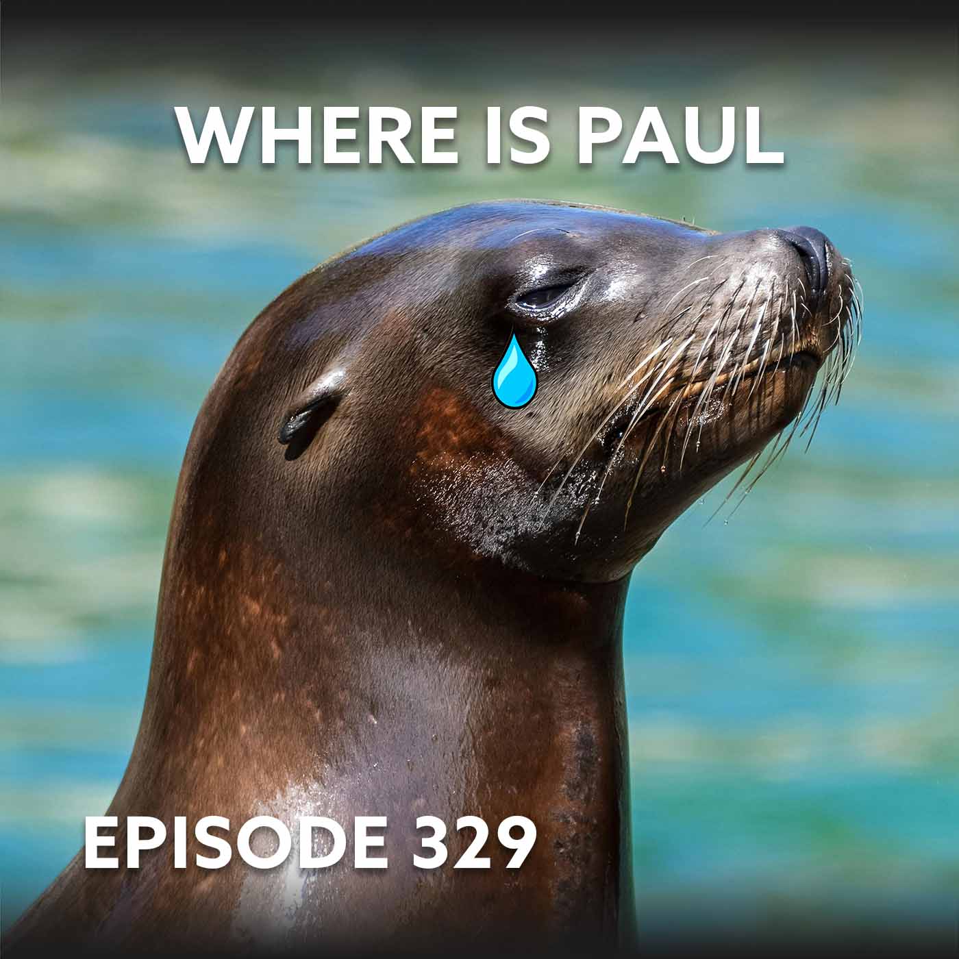 Episode 329 – Where is Paul